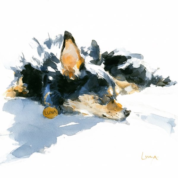 Watercolor of Luna, a black-and-tan Chihuahua, curled up asleep with her gold LUNA license tag